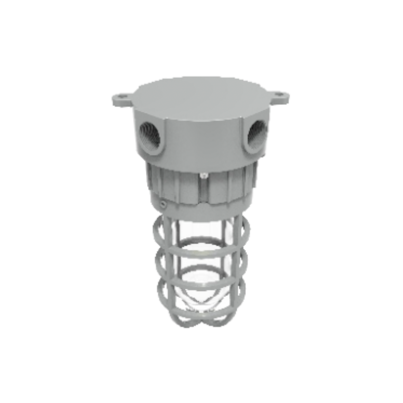 C1D2 Exdura Jelly Jar