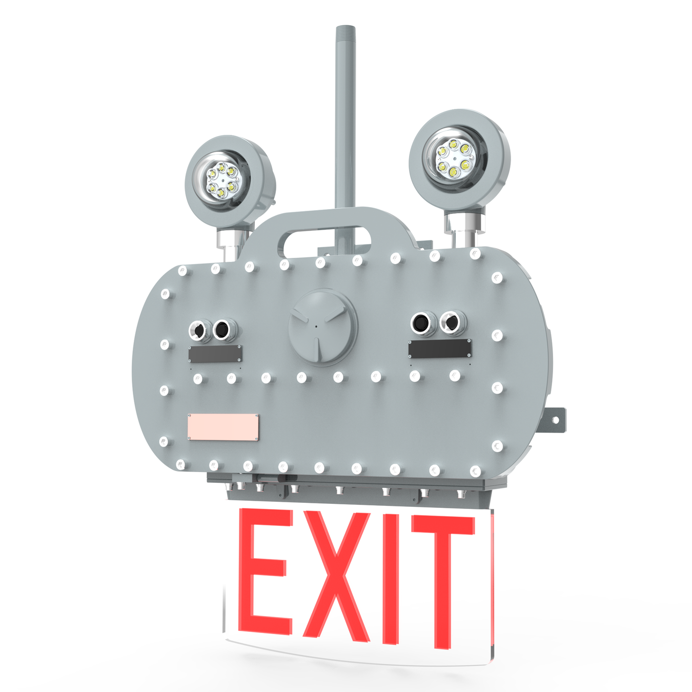 Exit Sign C1D1