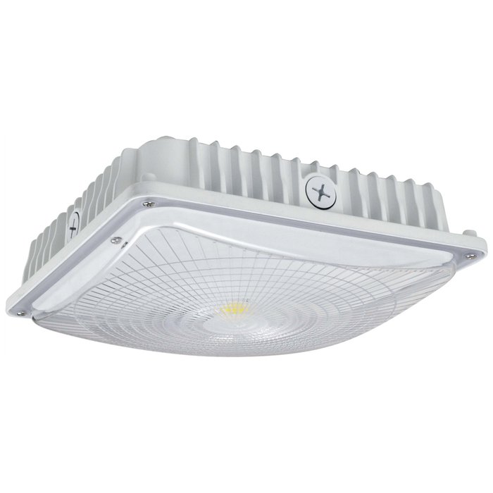Canopy 63W, White